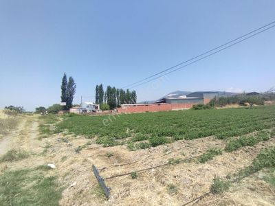 Arsa-Tarla