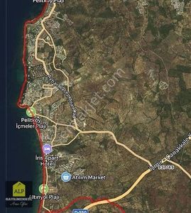 Arsa-Zeytinlik