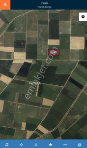Arsa-Tarla