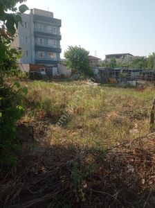 Arsa-Konut İmarlı