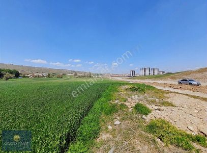 Arsa-Ticari İmarlı