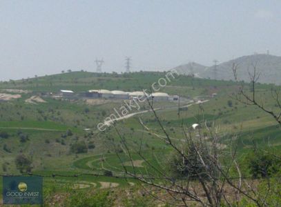Arsa-Tarla