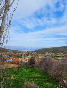 Arsa-Tarla