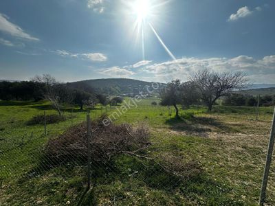 Arsa-Tarla