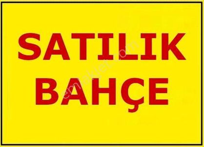 Arsa-Bağ & Bahçe