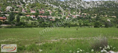 Arsa-Tarla