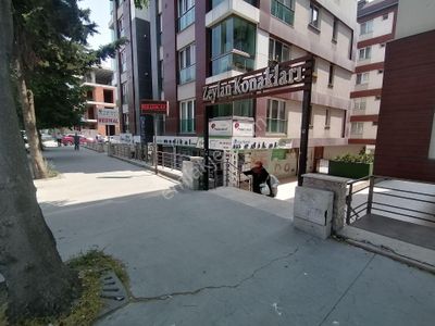 İşyeri-Dükkan & Mağaza