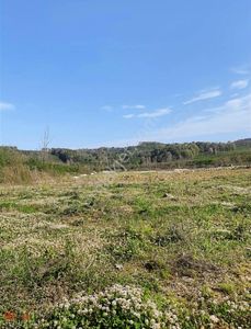 Arsa-Ticari İmarlı
