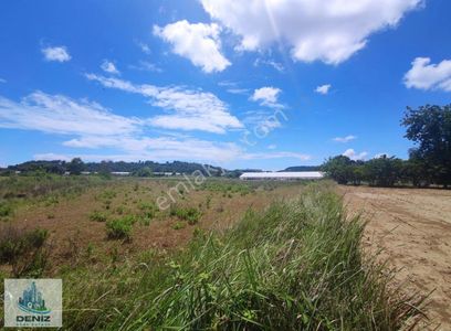 Arsa-Tarla