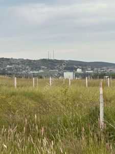 Arsa-Tarla