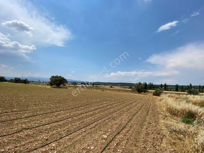Arsa-Tarla