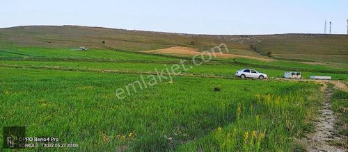 Arsa-Tarla