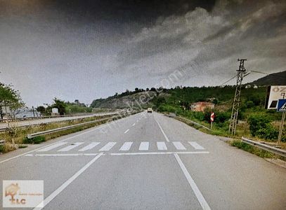 Arsa-Bağ & Bahçe
