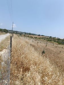 Arsa-Tarla