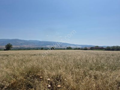 Arsa-Tarla