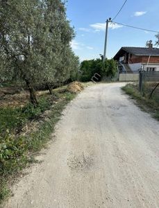 Arsa-Tarla
