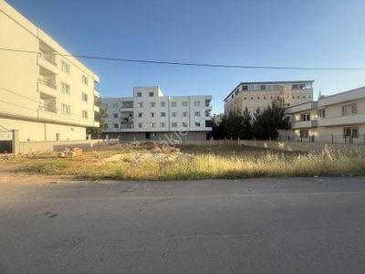 Arsa-Konut İmarlı