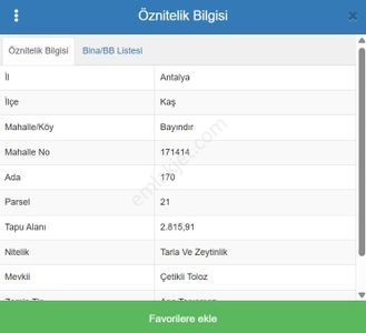 Arsa-Zeytinlik