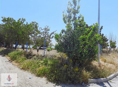 Arsa-Ticari İmarlı