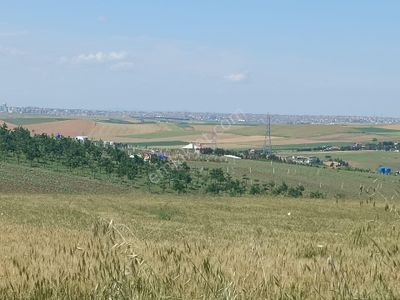 Arsa-Tarla