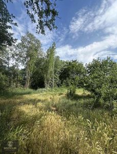 Arsa-Tarla