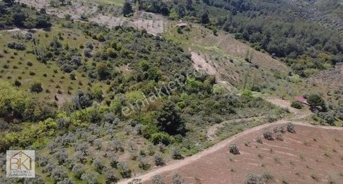 Arsa-Bağ & Bahçe