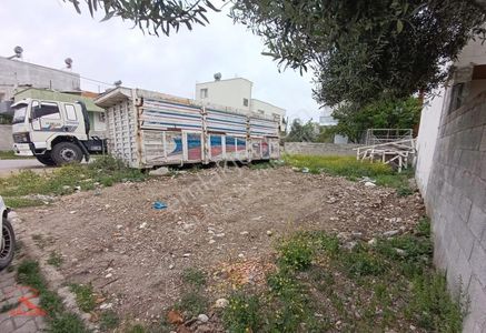 Arsa-Konut İmarlı