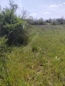 Arsa-Tarla