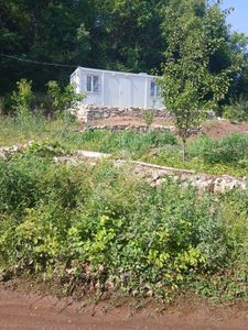 Arsa-Bağ & Bahçe