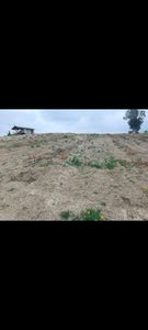 Arsa-Tarla