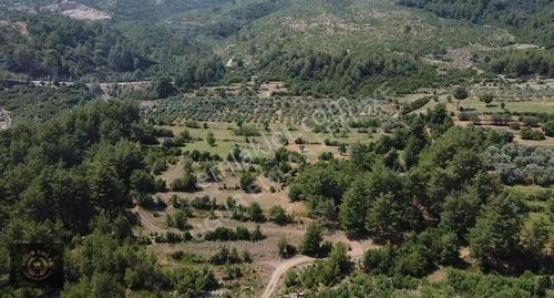 Arsa-Tarla