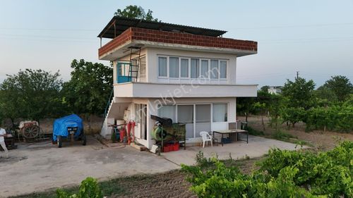 Arsa-Bağ & Bahçe