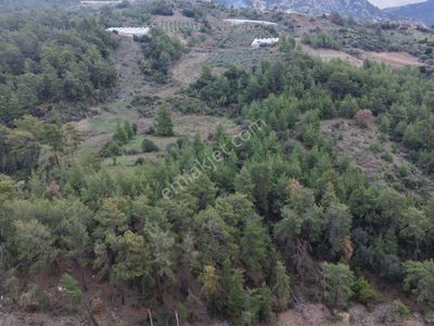Arsa-Tarla