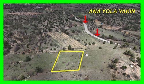 Arsa-Tarla