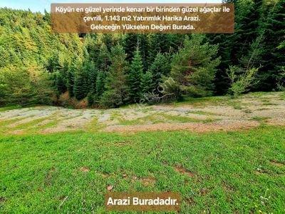 Arsa-Tarla
