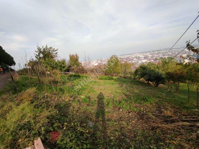 Arsa-Konut İmarlı