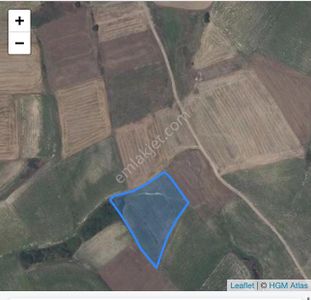 Arsa-Tarla