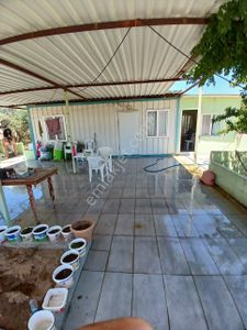 Arsa-Arazi