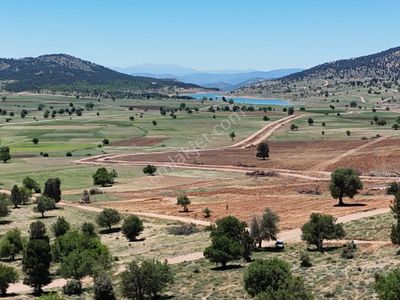 Arsa-Tarla