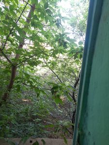 Arsa-Tarla