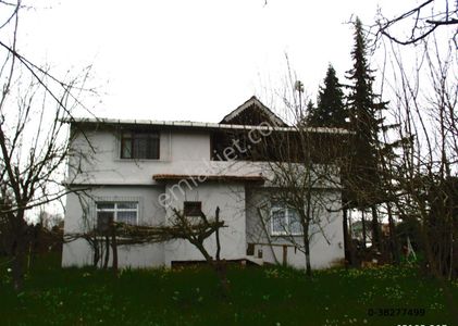 Arsa-Tarla