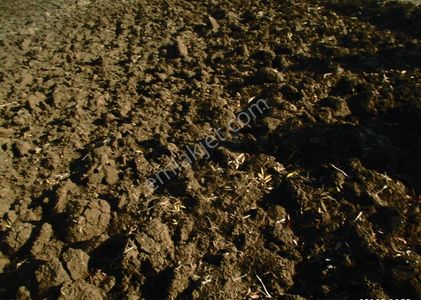 Arsa-Konut İmarlı