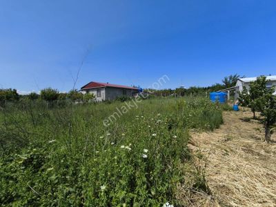 Arsa-Tarla