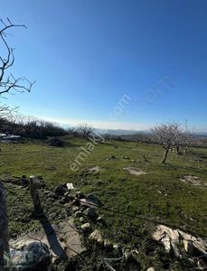 Arsa-Konut İmarlı
