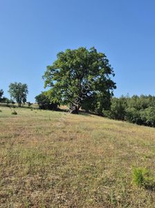 Arsa-Tarla