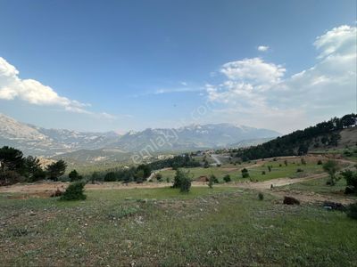 Arsa-Villa İmarlı