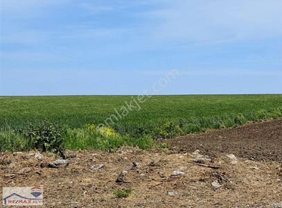 Arsa-Sanayi İmarlı