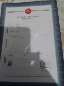 Arsa-Bağ & Bahçe
