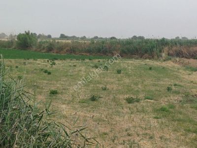 Arsa-Tarla