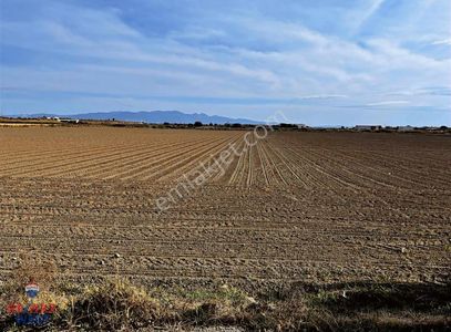 Arsa-Tarla